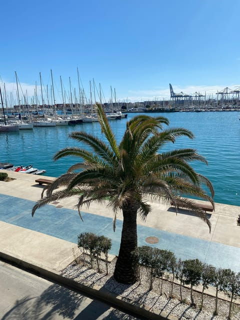 explore-valencias-coastal-gems-private-sailing-tour