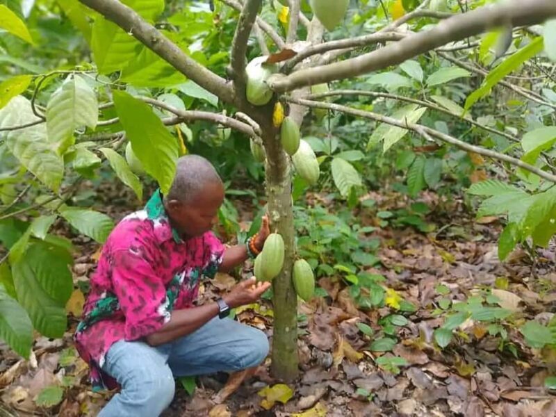 Explore Volta Region - Practical Considerations
