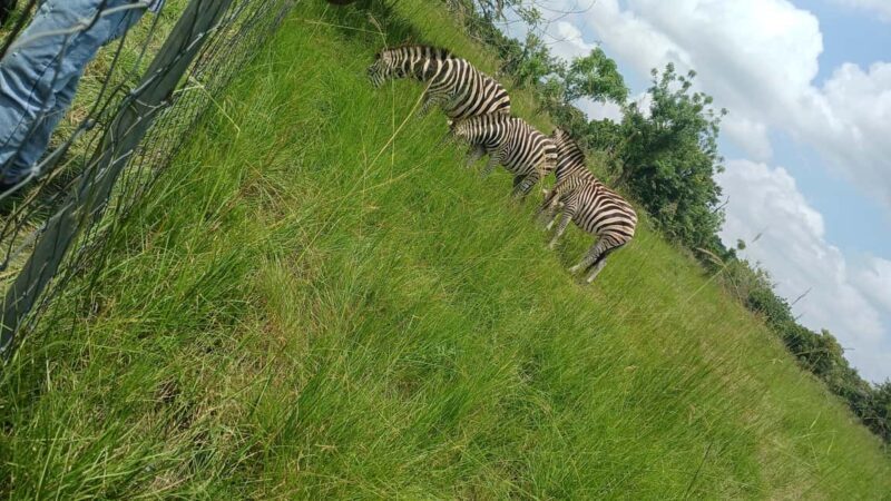 Explore Volta Region - Who This Tour Is Best For