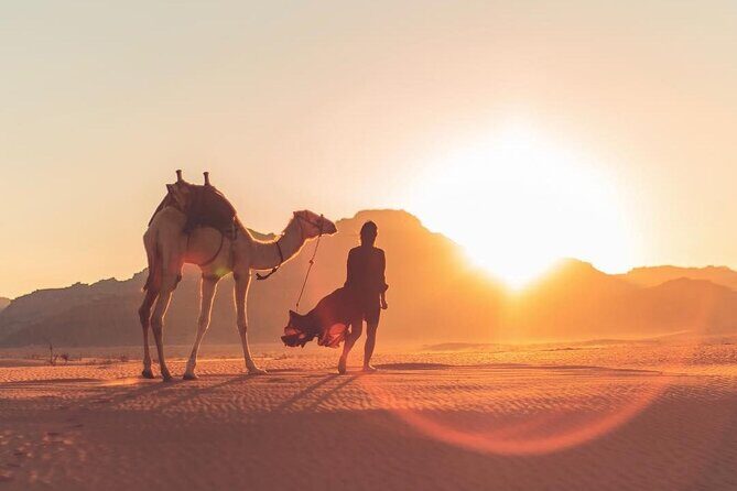 Explore Wadi Rum Desert with Camel Ride Experience with Stay - A Closer Look at the Wadi Rum Camel Ride Experience