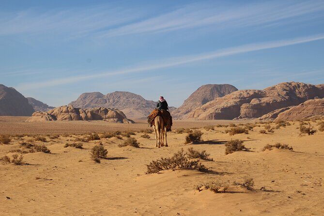 Explore Wadi Rum Desert with Camel Ride Experience with Stay - Practical Details and What You Need to Know