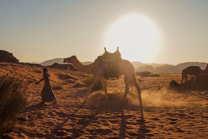 Explore Wadi Rum Desert with Camel Ride Experience with Stay - Authentic Experience Insights from Reviews