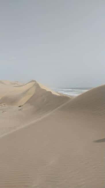 Explore Walvisbay: Ultimate Birding & Photography Experience - How This Tour Stacks Up