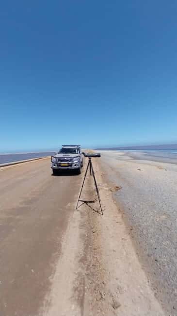 Explore Walvisbay: Ultimate Birding & Photography Experience - Who Should Consider This Tour?