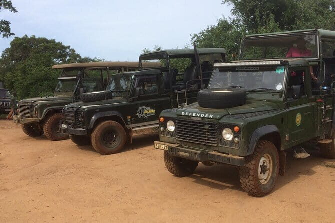 Explore Wild Wonders of Yala - Key Points