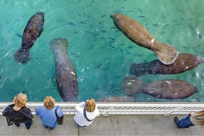 explore-wildlife-sanctuaries-on-the-wild-palm-beaches-tour