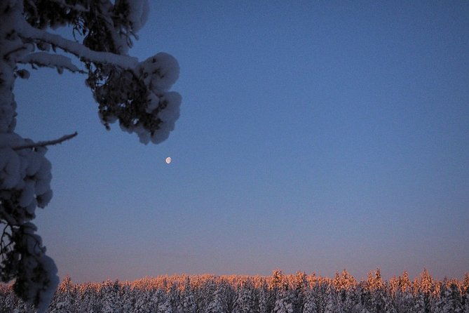explore-winter-woods-snowshoe-walk-with-local-biologist