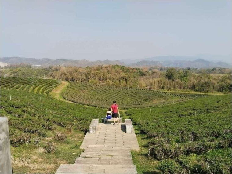 explorer-border-road-and-nature-tea-and-coffee