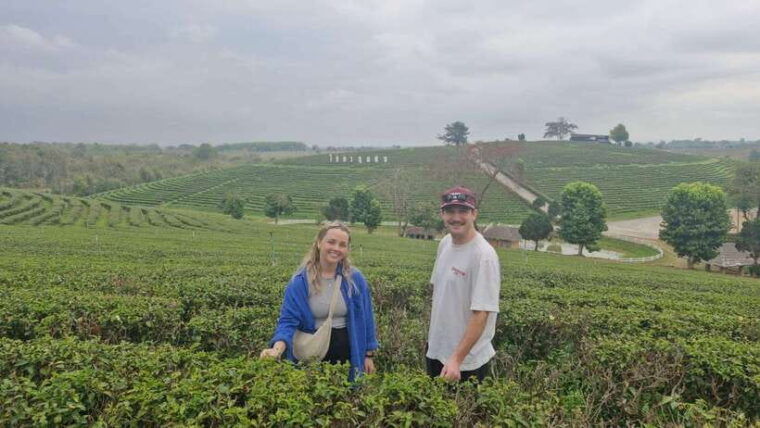 explorer-border-road-and-nature-tea-and-coffee