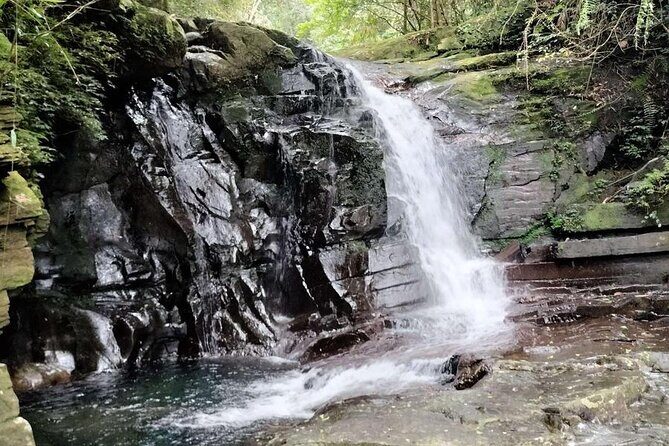 Exploring Bach Ma Trekking Hue National Park - The Experience: A Deep Dive into the Trekking Adventure