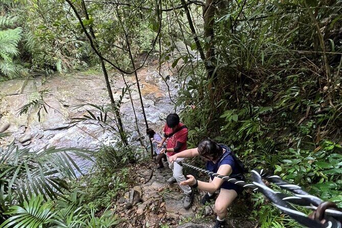 Exploring Bach Ma Trekking Hue National Park - Practical Aspects and What’s Included