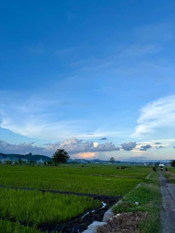 Exploring Bantul: Riding into the Heart of Rural Yogyakarta. - Who Would Love This Tour?