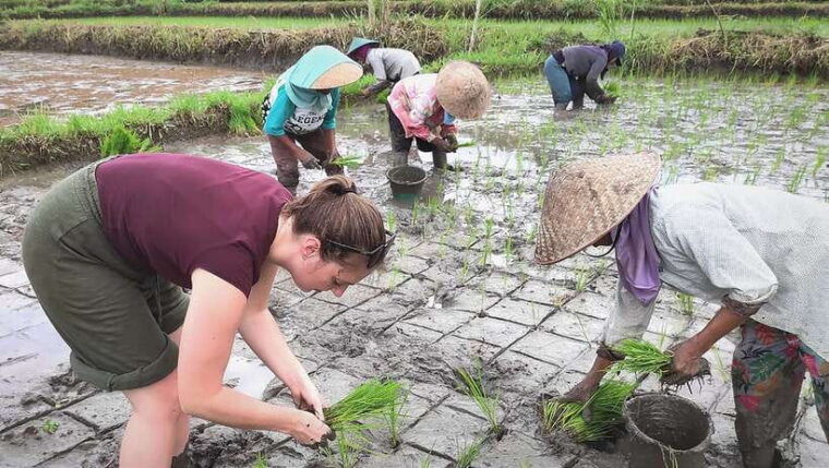 exploring-borobudur-prambanan-kraton-yogyakarta