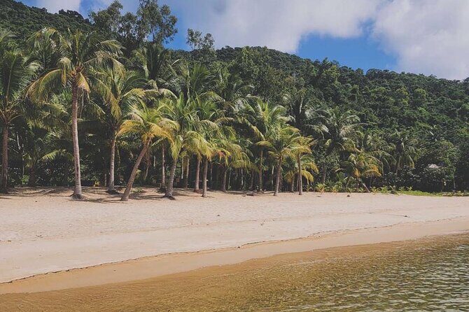 Exploring Cham Islands Day Tour by Speed Boat - FAQ