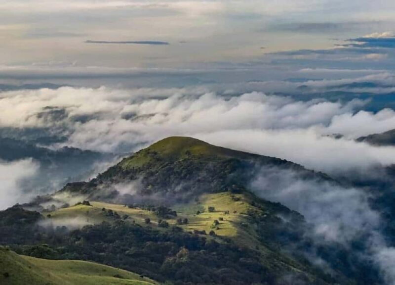 Exploring Coorg: Guided Full Day Tour in Car from Mysore - An In-Depth Look at the Tour Experience
