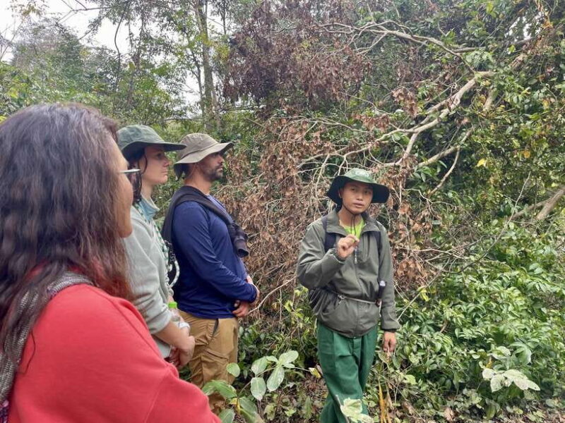 Exploring Don Village & Yok Don National Park - Practical Details and What You Need to Know