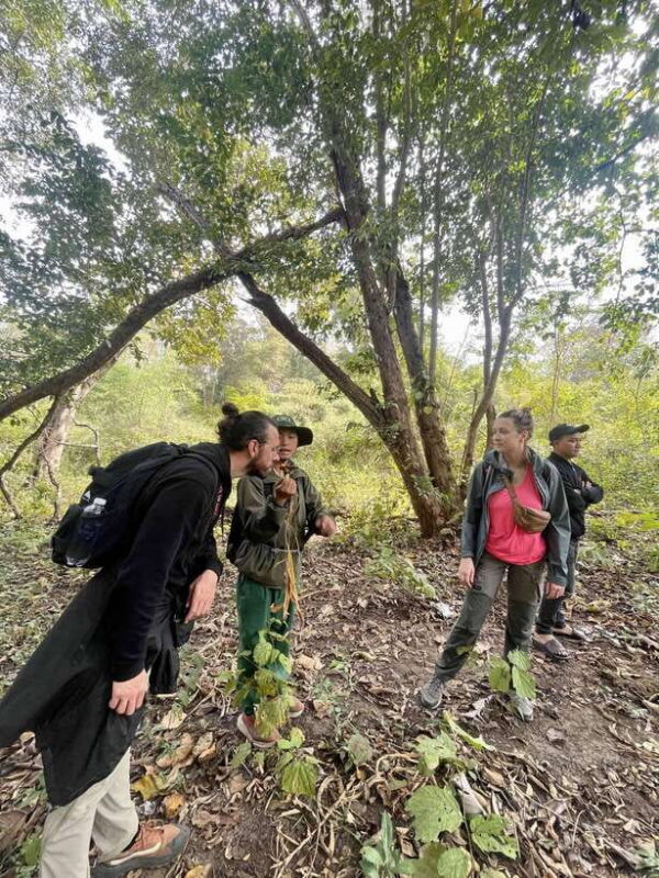 Exploring Don Village & Yok Don National Park - What Could Be Improved