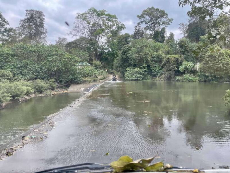 Exploring Don Village & Yok Don National Park - Who Is This Tour Best For?