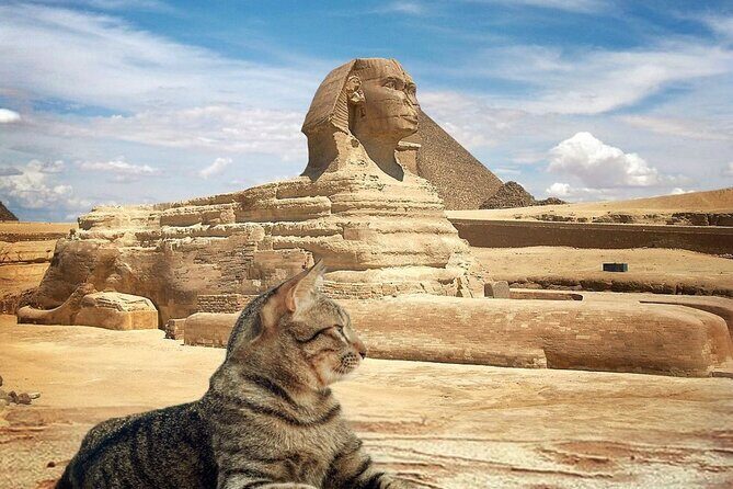Exploring Giza Pyramids & The Hidden Spots on Foot. - Who Should Consider This Tour?