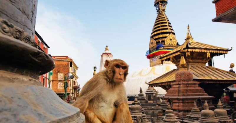 exploring-kathmanduprivate-chandragiri-swayambhunath-tour