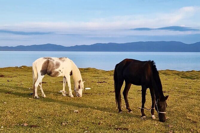 Exploring Kyrgyzstan in 9 days from Bishkek - Final Day: Returning to Bishkek