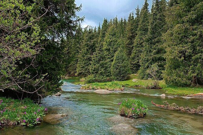 Exploring Kyrgyzstan in 9 days from Bishkek - The Overall Experience: What’s Included and Why It Matters