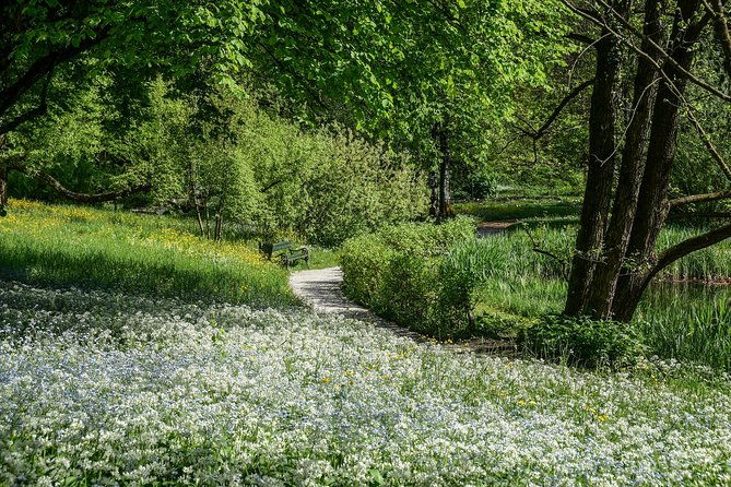 exploring-ljubljana-by-bicycle