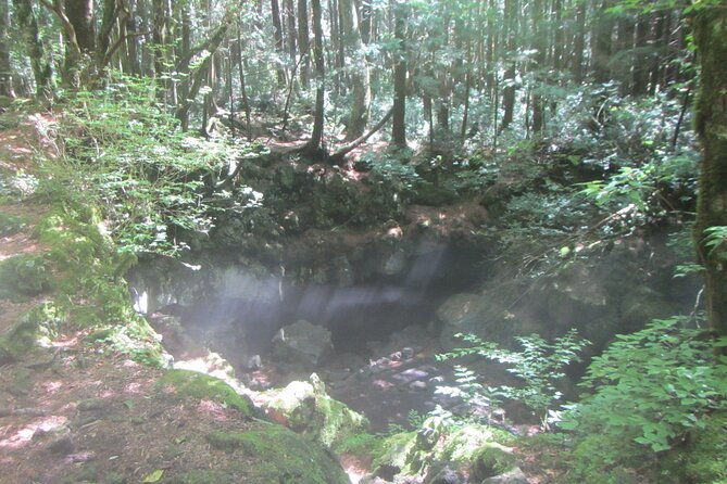 exploring-mt-fuji-ice-cave-and-sea-of-trees-forest