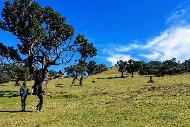 exploring-new-northwest-frontiers-beyond-madeira-in-4x4-tour