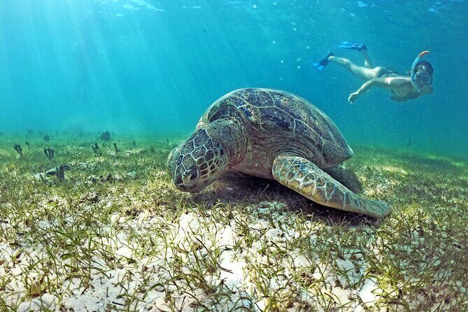 Exploring Nosy Sakatia with guide - Key Points