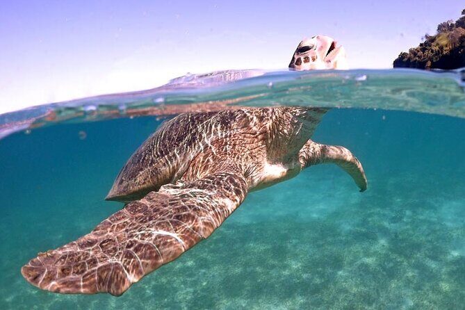 Exploring Nosy Sakatia with guide - Why This Tour Stands Out