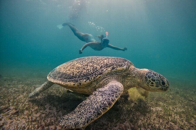 Exploring Nosy Sakatia with guide - FAQs