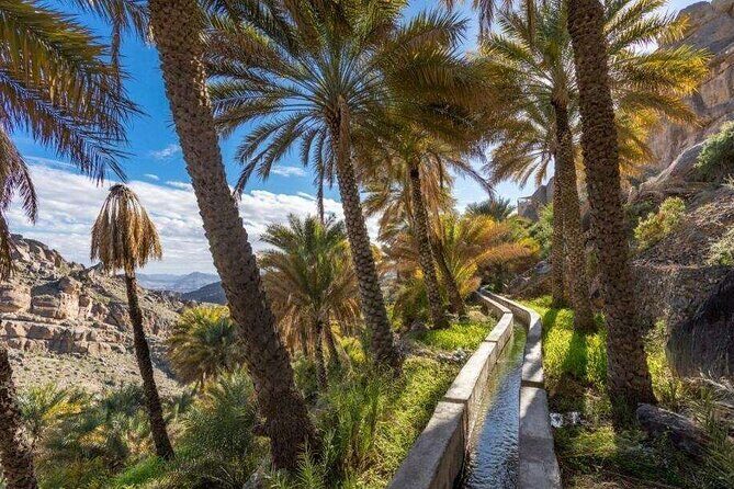 Exploring Oman - Nizwa Souq, Misfah Al Arbyeen - Authentic Experience and Guide Insights