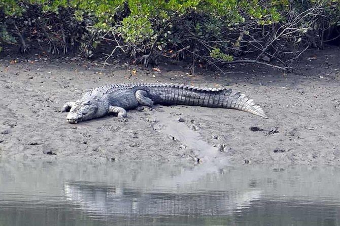 Exploring the beauty of Sunderban - Exploring the beauty of Sunderban