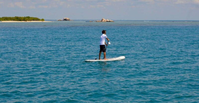 Exploring the Eastern Coast: A Week of Beaches and Reefs - Key Points