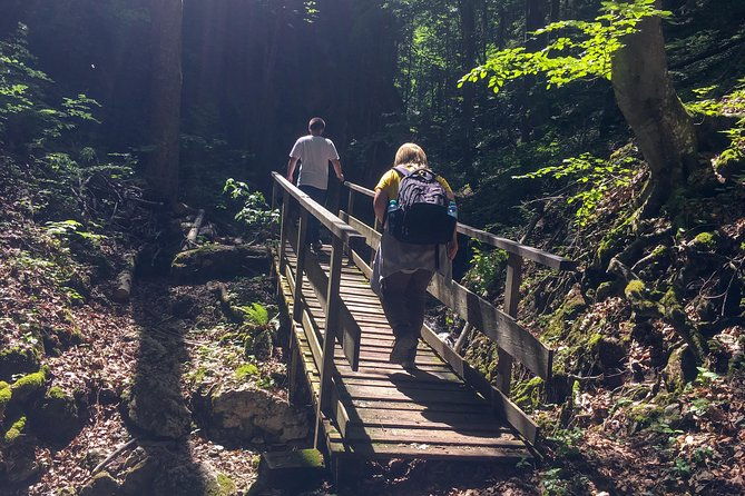 exploring-the-gutenstein-alps