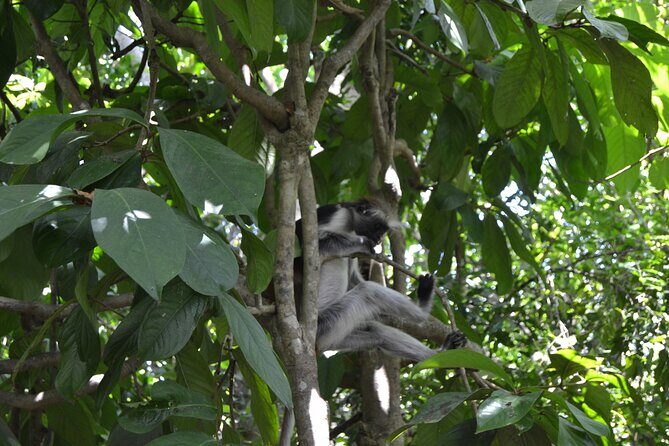 Exploring the Hidden Gems of Zanzibar - Final Thoughts