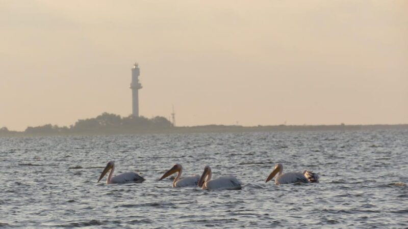 exploring-the-magic-of-the-danube-delta-through-photo-lenses