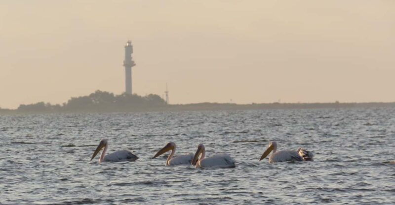 exploring-the-magic-of-the-danube-delta-through-photo-lenses