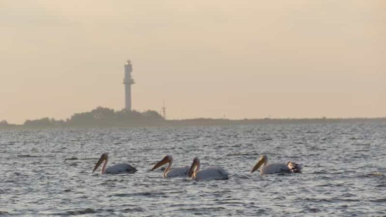 exploring-the-magic-of-the-danube-delta-through-photo-lenses