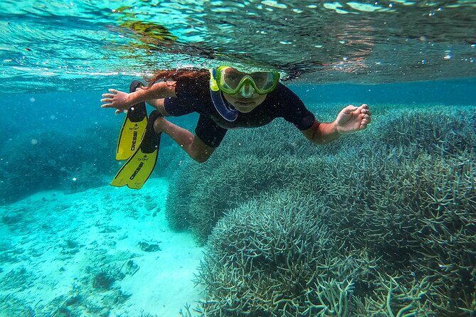 Exploring the Magnificent East of Mauritius: Full-day incl Blue Bay Marine Park - Exploring the Magnificent East of Mauritius: Full-day incl Blue Bay Marine Park
