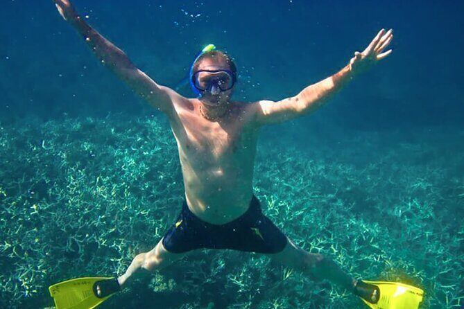 Exploring the Magnificent East of Mauritius: Full-day incl Blue Bay Marine Park - Who Is This Tour Best For?