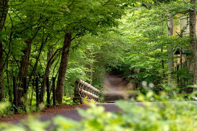 exploring-the-nature-and-sightseeing-spots-of-karuizawa-forest-bathing-cycling