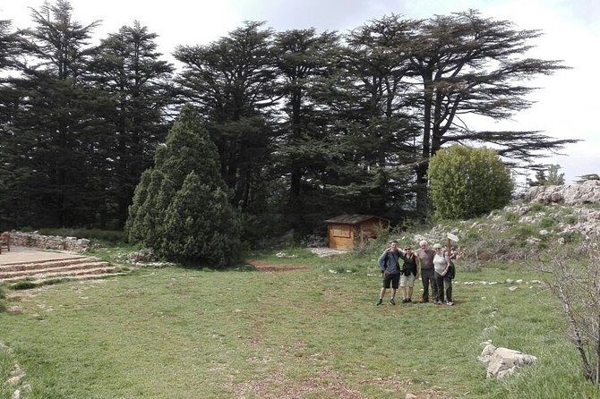 Exploring the Qadisha Valley, Cedars of God, and Baalbek Temples - An Overview of the Tour Experience