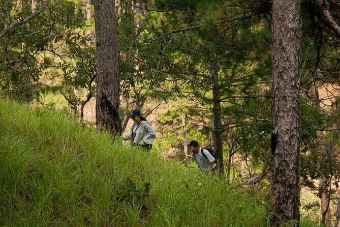 Exploring the Seven Tier Waterfall Tour - Who Will Love This Tour?