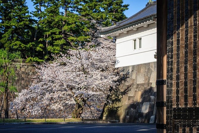 exploring-toranagas-edo