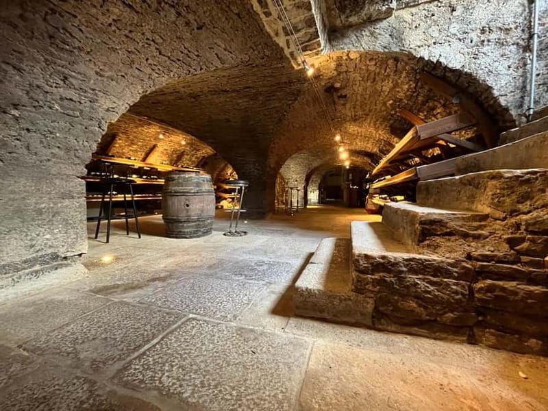 Exposition "Les forêts en souffrance" & Dégustation de vins - In The Sum Up: The Value of the Forest and Wine Experience
