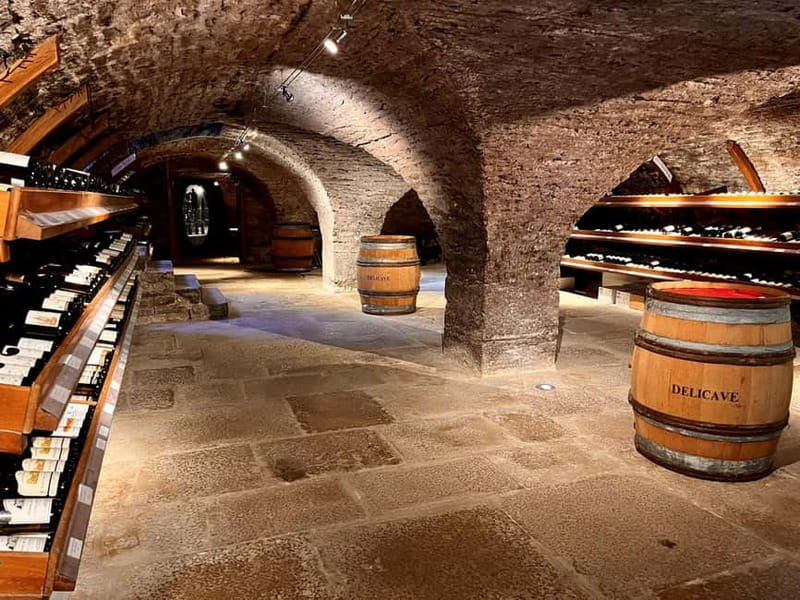 Exposition "Les forêts en souffrance" & Dégustation de vins - FAQ