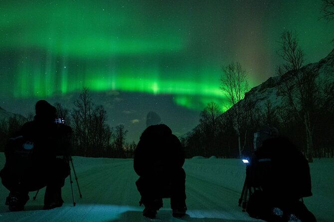 express-aurora-hunt-from-tromso-2