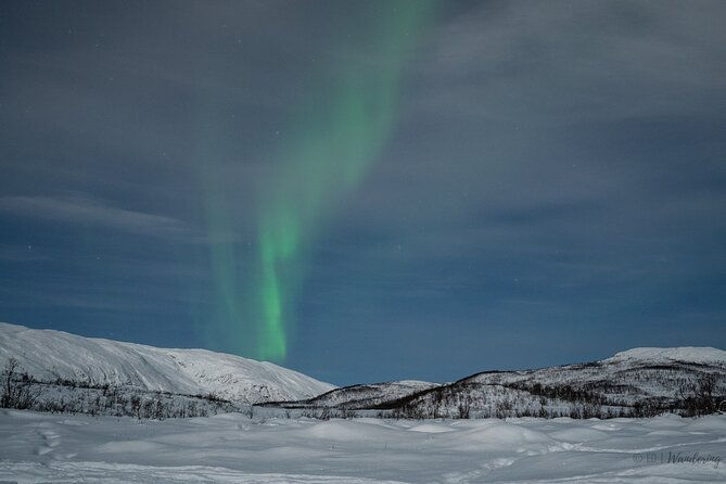 express-aurora-hunt-from-tromso